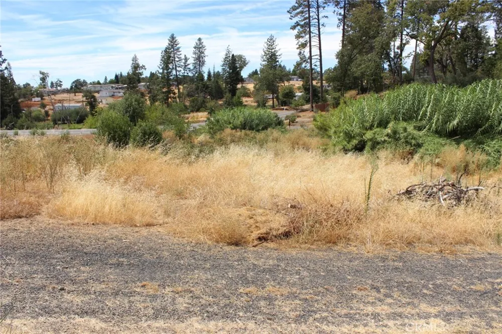 1289 Pearson Paradise, CA 95969