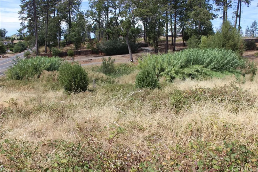 1289 Pearson Paradise, CA 95969