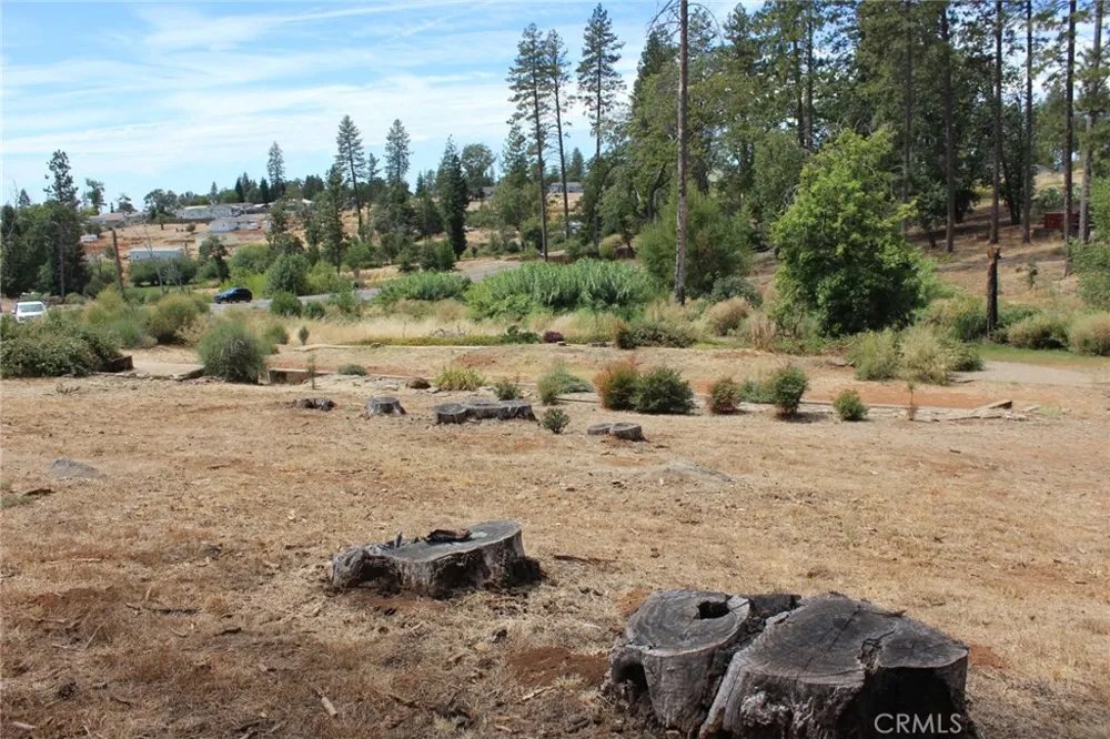 1289 Pearson Paradise, CA 95969