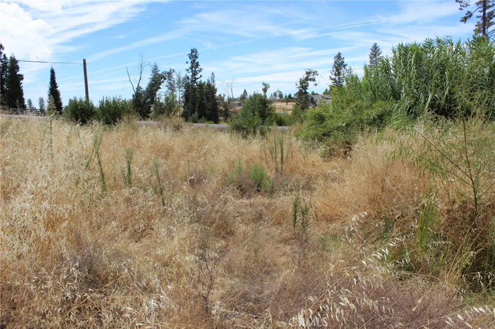 1289 Pearson Paradise, CA 95969