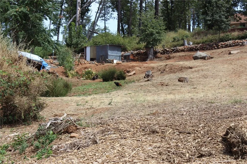 1289 Pearson Paradise, CA 95969