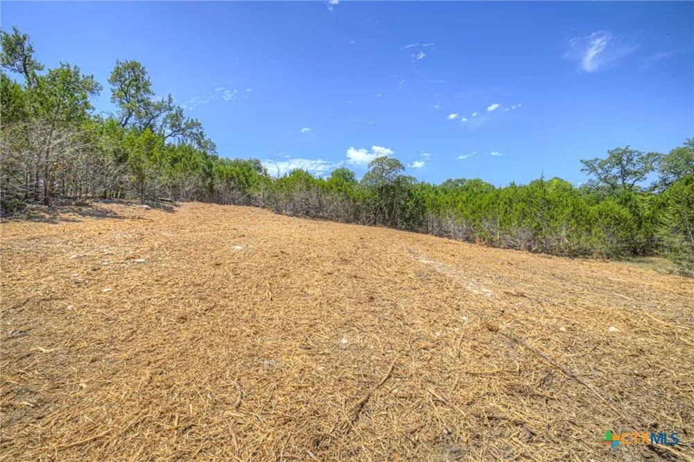 1867 Bella Vista Canyon Lake, TX 78133