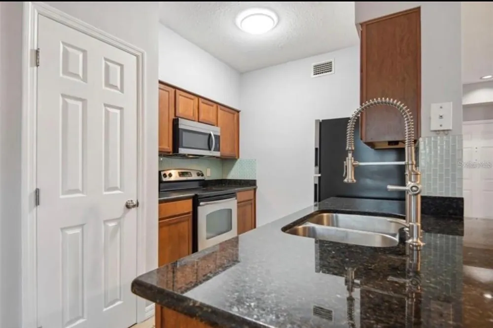 1810 E PALM AVENUE #1205 Tampa, FL 33605