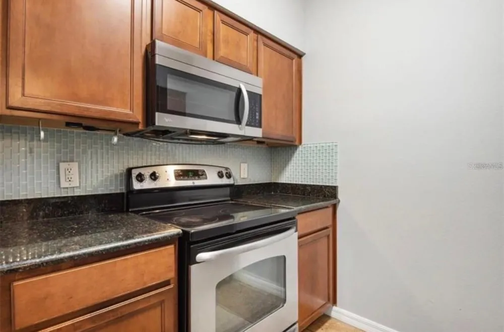 1810 E PALM AVENUE #1205 Tampa, FL 33605
