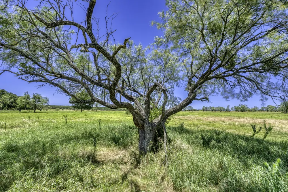 COUNTY RD 2200 Lampasas, TX 76550