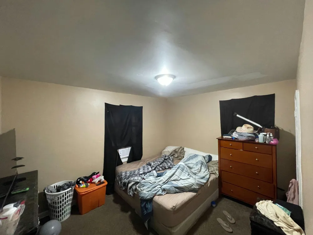 14382 Dolphin Street Detroit, MI 48223