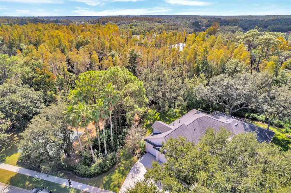 Address Not Shown Tampa, FL 33647