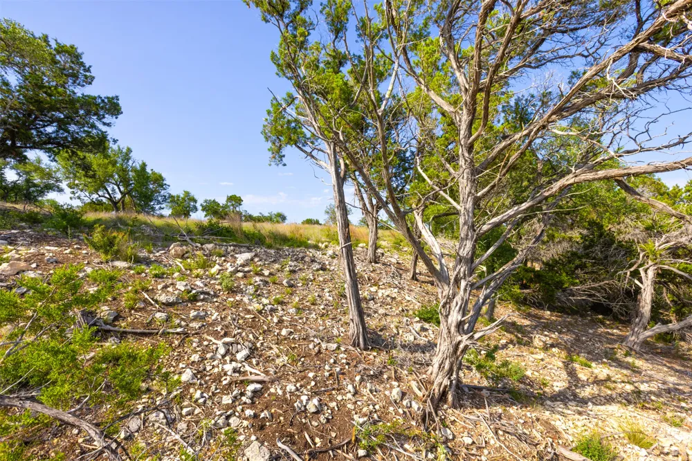 1610 Paradise Parkway Canyon Lake, TX 78133