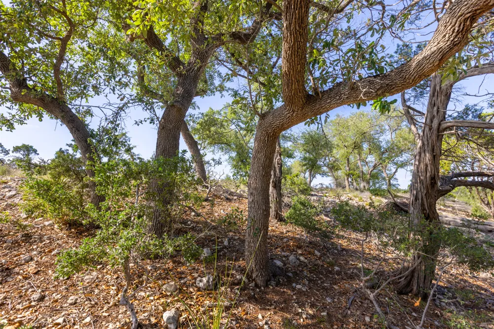 1610 Paradise Parkway Canyon Lake, TX 78133
