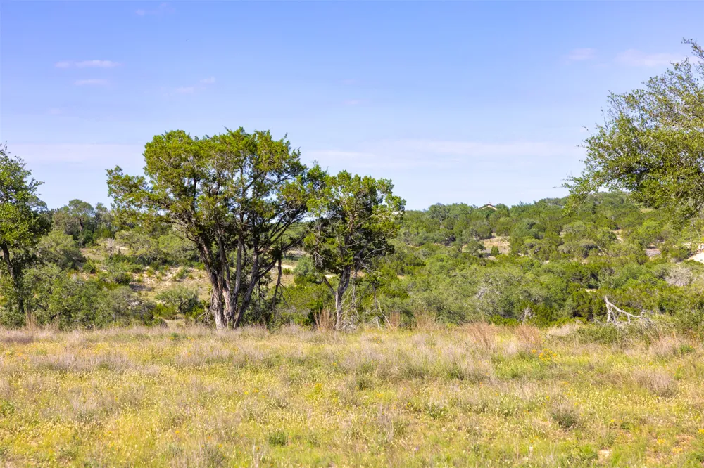 1610 Paradise Parkway Canyon Lake, TX 78133