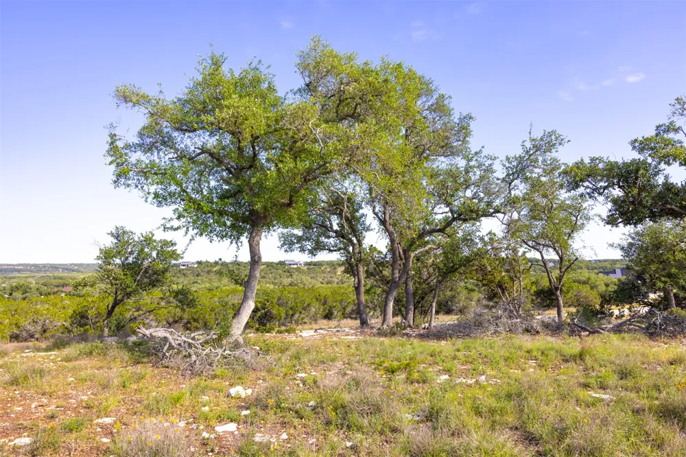 1610 Paradise Parkway Canyon Lake, TX 78133