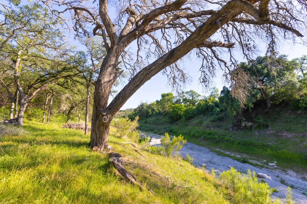 1610 Paradise Parkway Canyon Lake, TX 78133