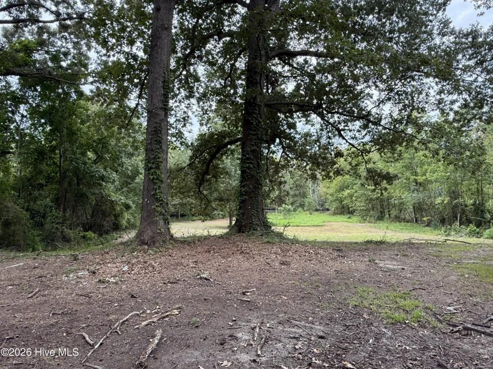 423 Dogwood Drive Edenton, NC 27932