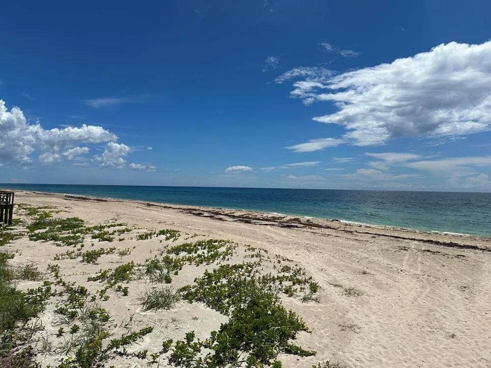 5 Adams Road Ocean Ridge, FL 33435