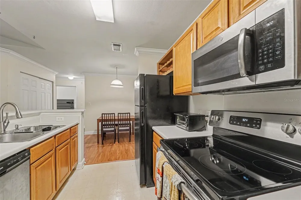 18193 STERLING GATE CIRCLE Tampa, FL 33647