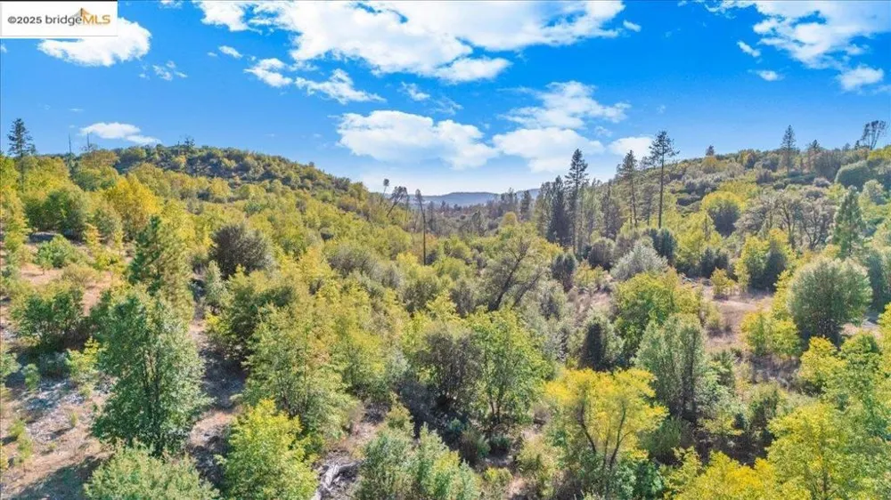 Jackass Creek Rd Groveland, CA 95321