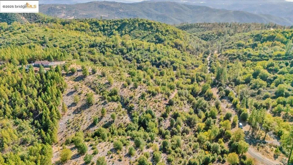 Jackass Creek Rd Groveland, CA 95321