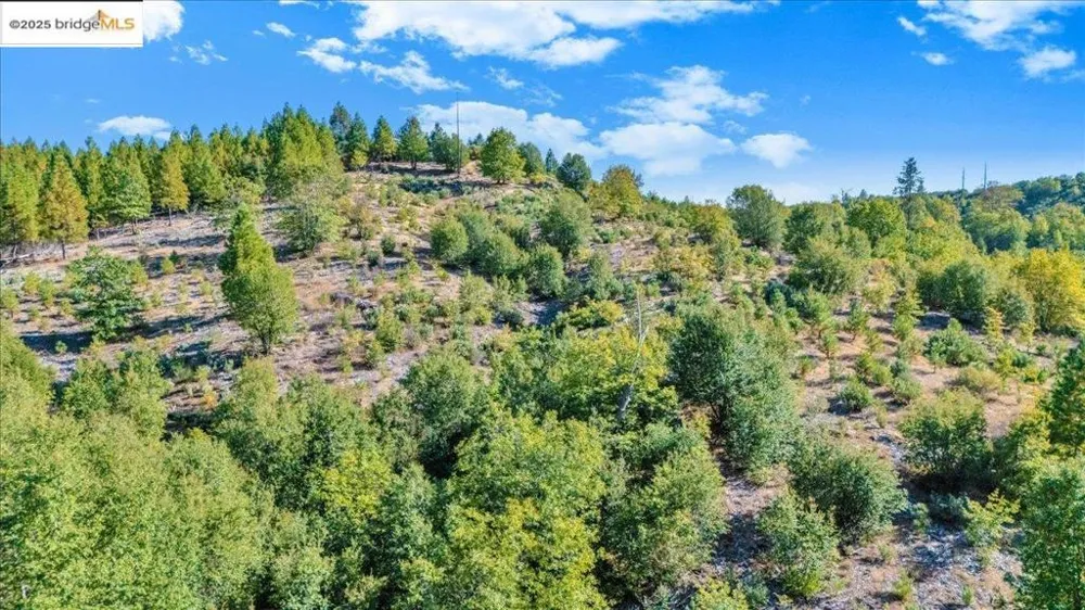 Jackass Creek Rd Groveland, CA 95321