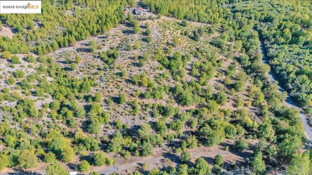 Jackass Creek Rd Groveland, CA 95321