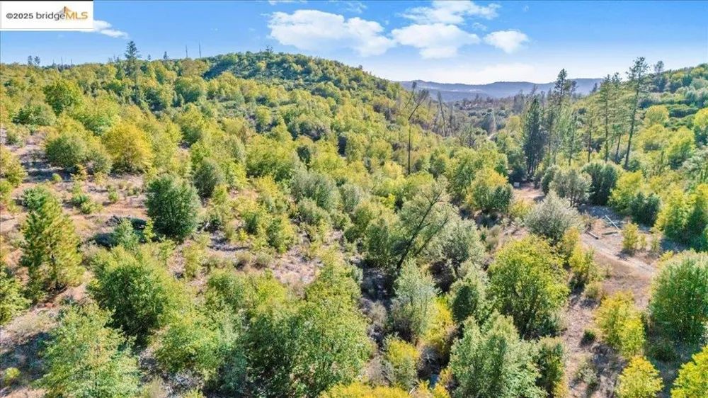 Jackass Creek Rd Groveland, CA 95321