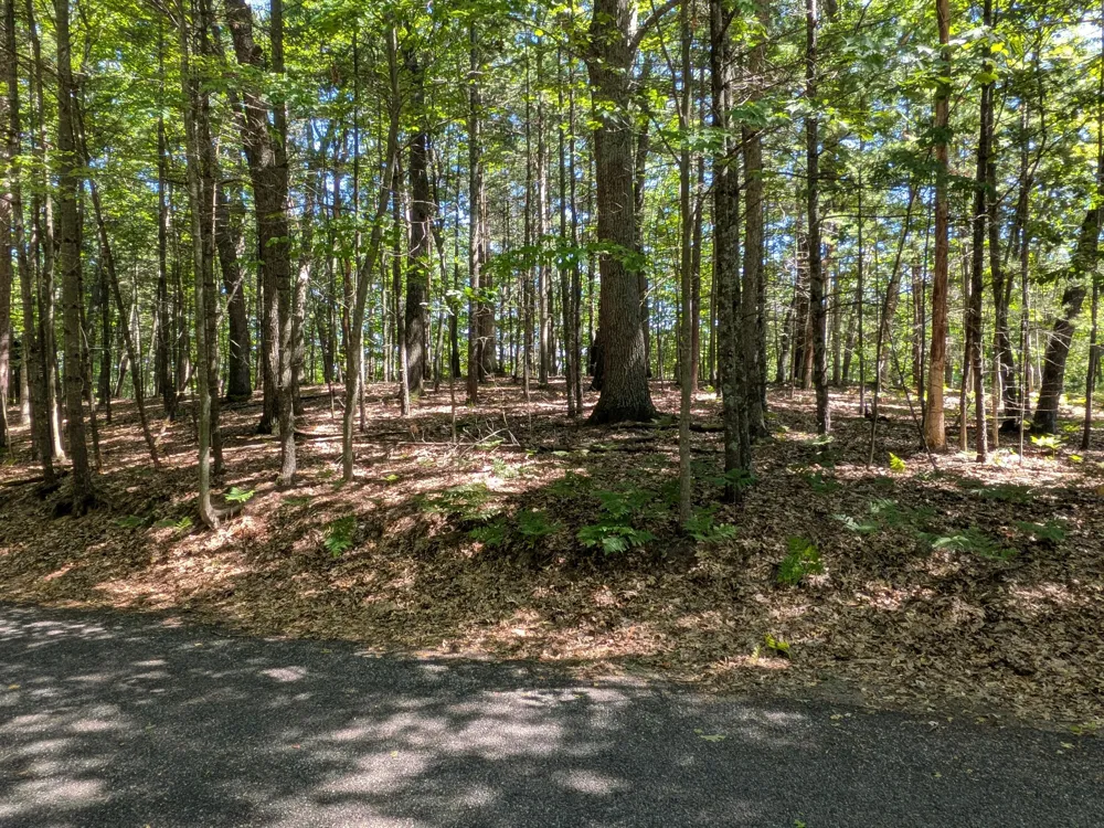 Ottawa Lane #Lot 50 Pentwater, MI 49449