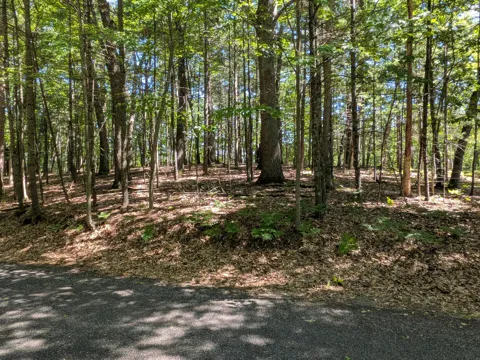 Ottawa Lane #Lot 50