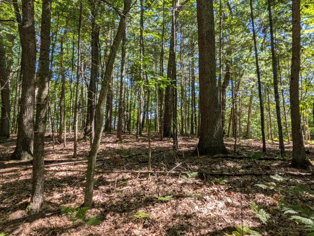 Ottawa Lane #Lot 50 Pentwater, MI 49449