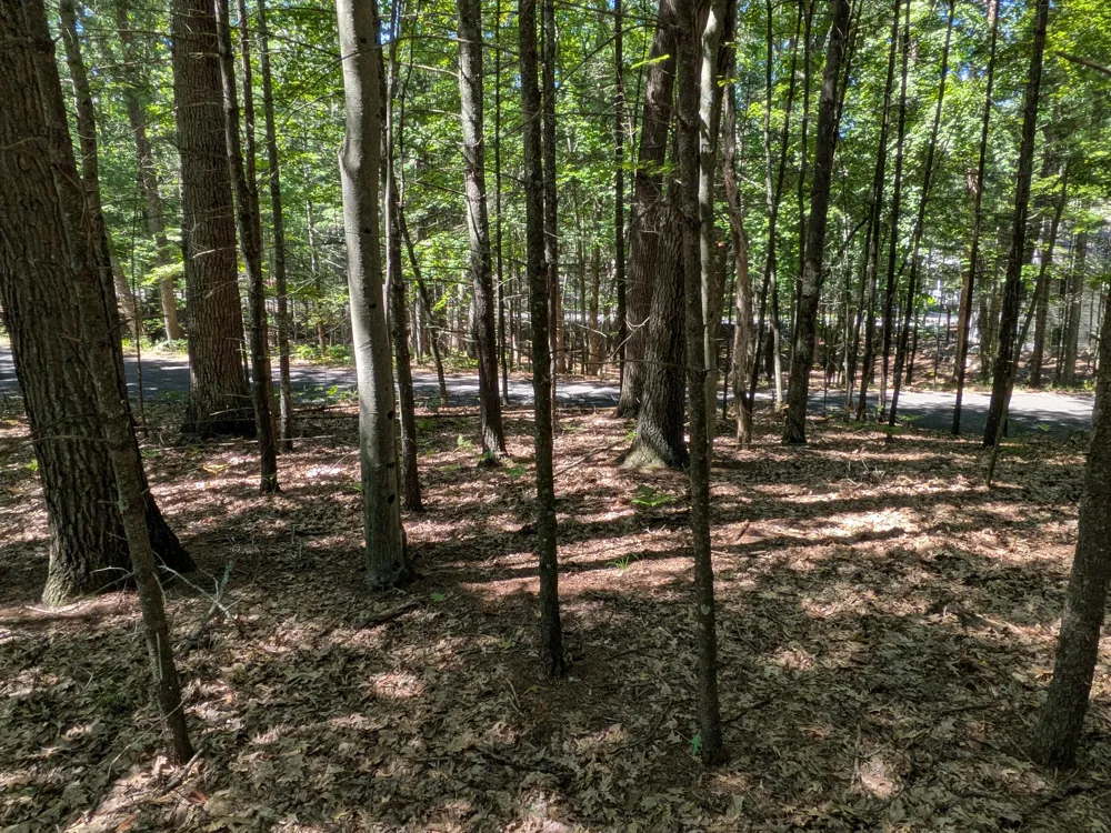 Ottawa Lane #Lot 50 Pentwater, MI 49449