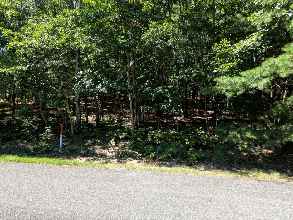 Ottawa Lane #Lot 50 Pentwater, MI 49449