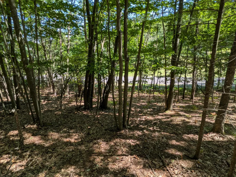 Ottawa Lane #Lot 50 Pentwater, MI 49449