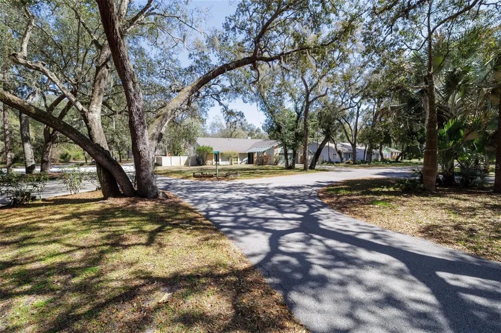 317 OAK FERN CIRCLE Ormond Beach, FL 32174