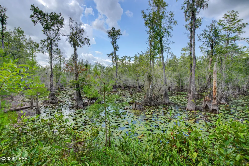 1788 Gap Boulevard Chipley, FL 32428
