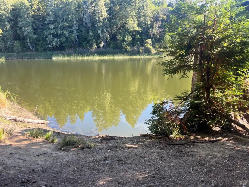2114 Poppy Lane Willits, CA 95490
