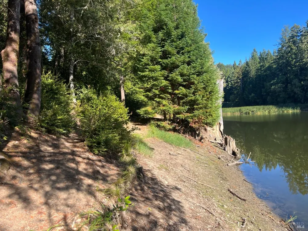 2114 Poppy Lane Willits, CA 95490