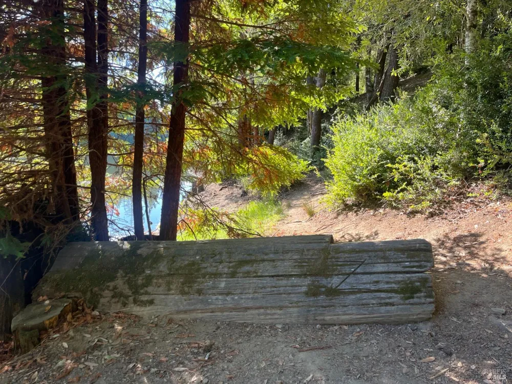 2114 Poppy Lane Willits, CA 95490