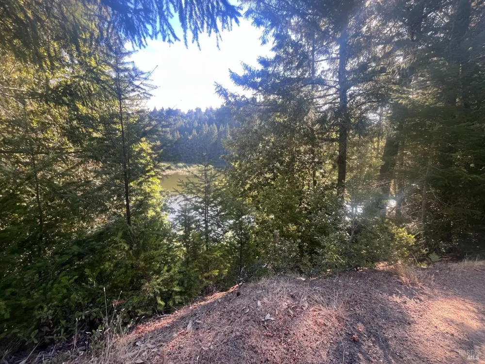 2114 Poppy Lane Willits, CA 95490