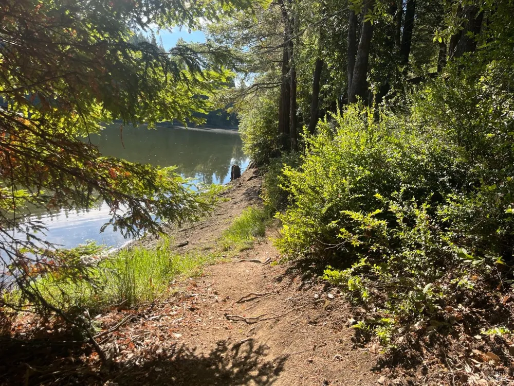 2114 Poppy Lane Willits, CA 95490