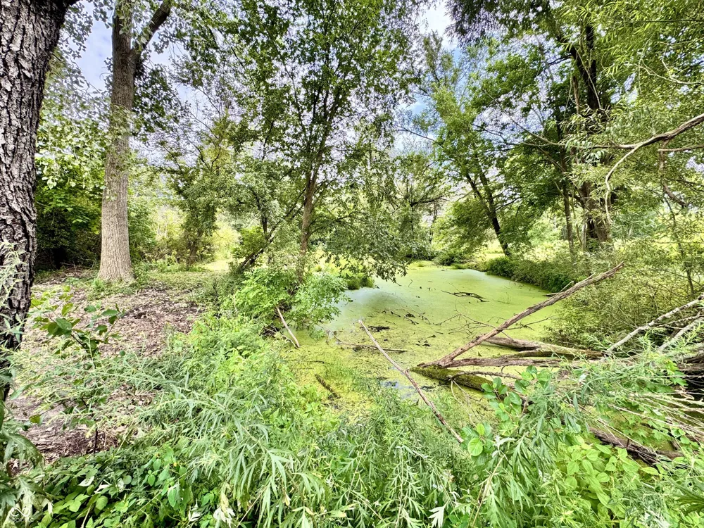 2882 E State Road 2 Rolling Prairie, IN 46371
