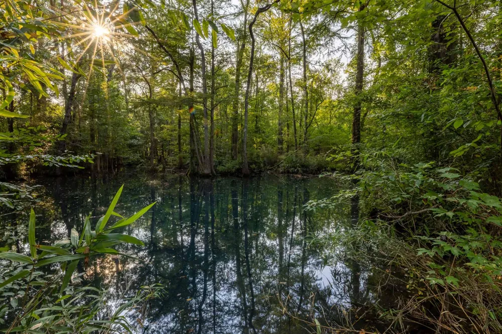 6604 Pine Island Road Albany, GA 31721