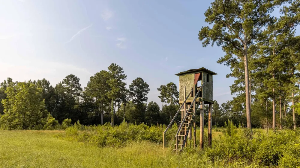 6604 Pine Island Road Albany, GA 31721