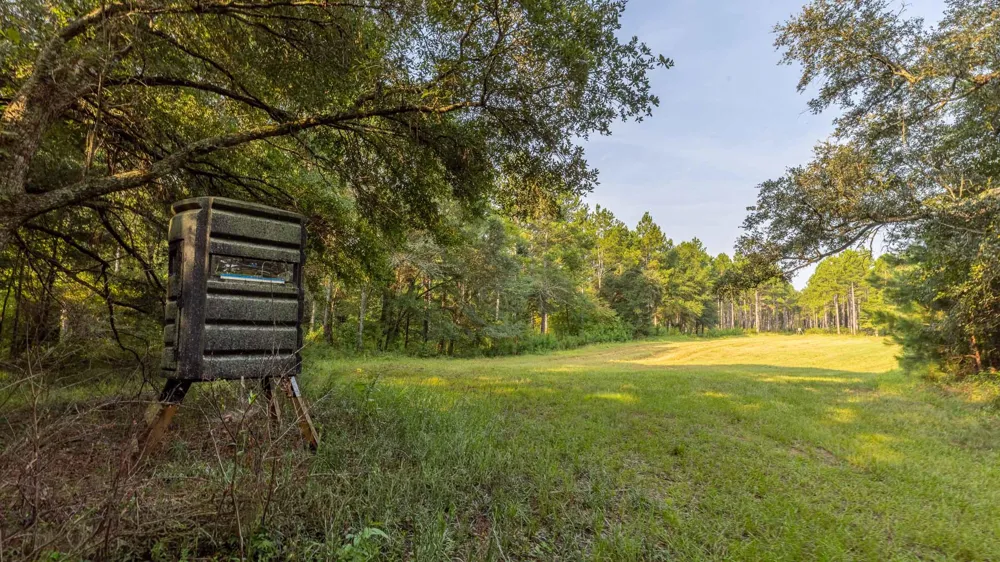 6604 Pine Island Road Albany, GA 31721