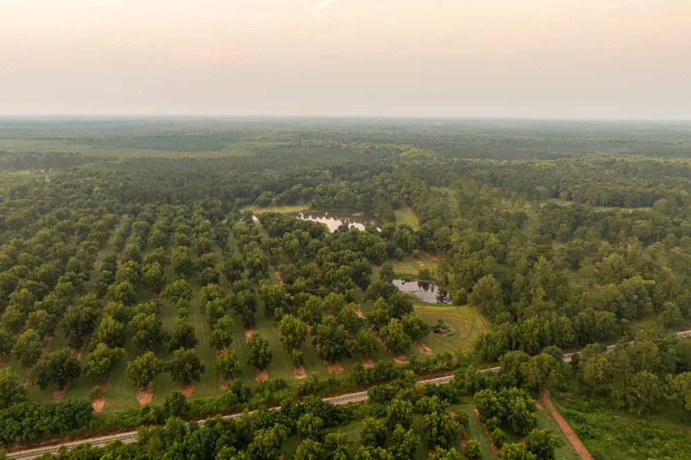 6604 Pine Island Road Albany, GA 31721
