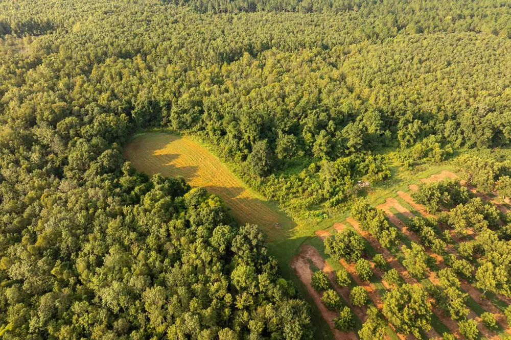 6604 Pine Island Road Albany, GA 31721