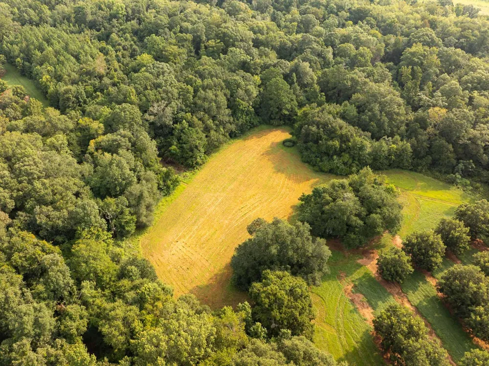 6604 Pine Island Road Albany, GA 31721