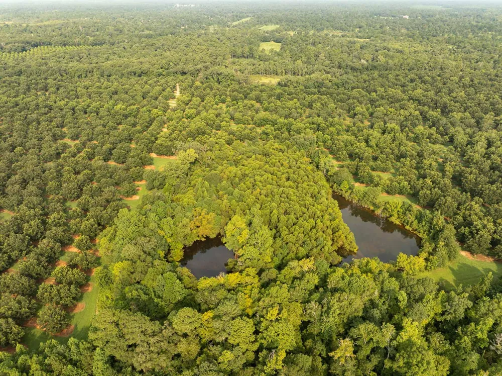 6604 Pine Island Road Albany, GA 31721