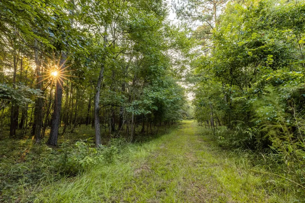 6604 Pine Island Road Albany, GA 31721