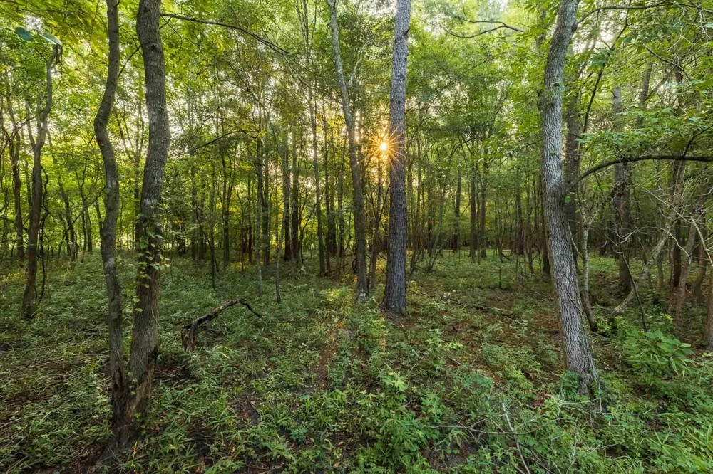 6604 Pine Island Road Albany, GA 31721