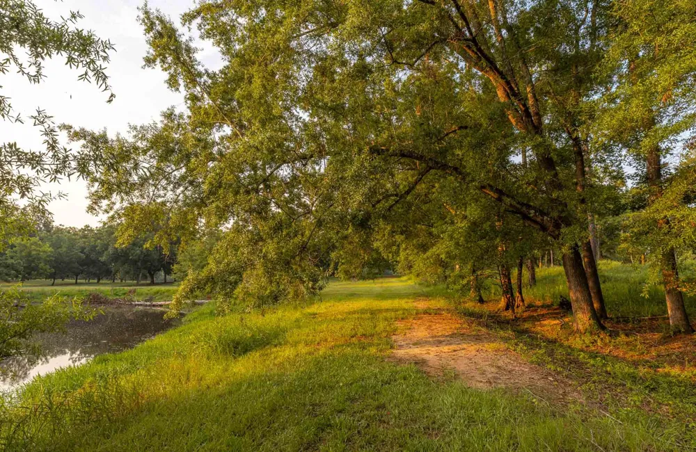 6604 Pine Island Road Albany, GA 31721