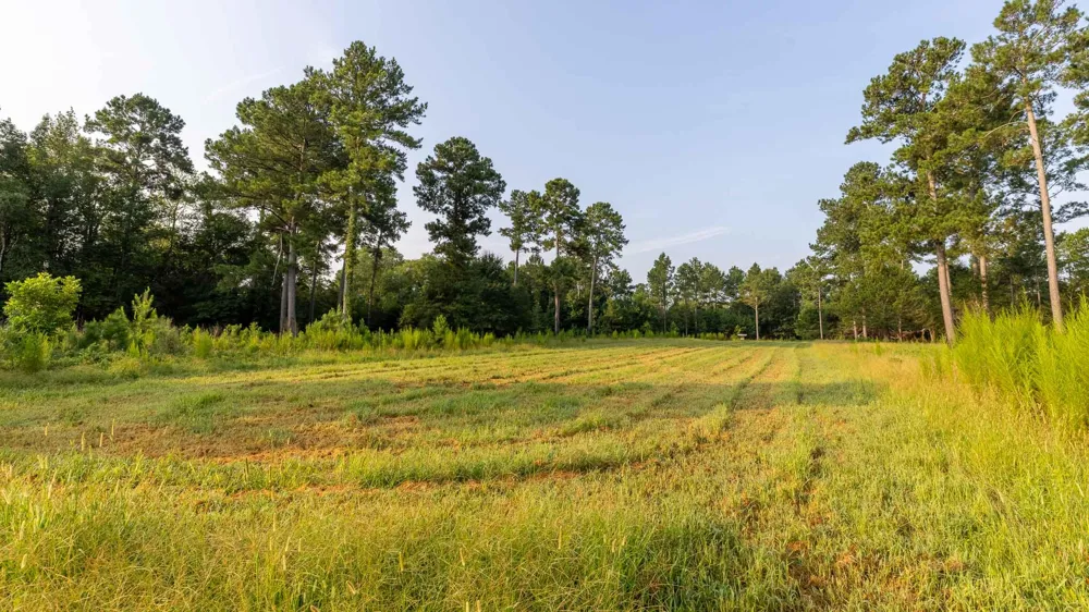 6604 Pine Island Road Albany, GA 31721