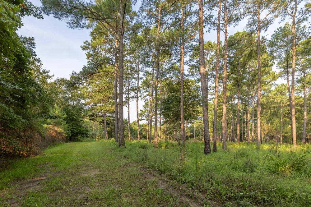 6604 Pine Island Road Albany, GA 31721